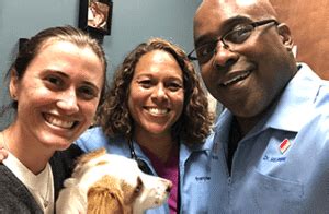 the village vets westside|Emergency Vet Services in Westside Atlanta, GA .